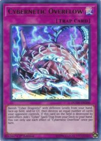 Cybernetic Overflow