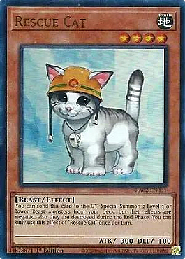 Rescue Cat (UR)