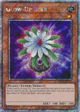 Glow-Up Bulb (PSR)