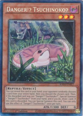 Danger!? Tsuchinoko? (PCR)
