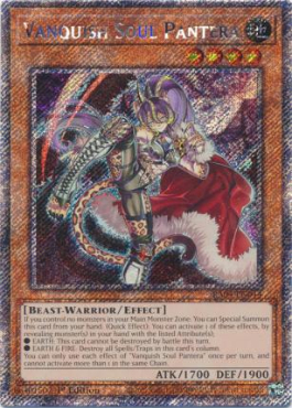 Vanquish Soul Pantera (PSR)