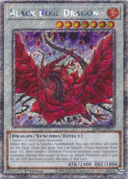 Black Rose Dragon (PSR)