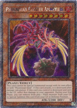 Phoenixian Cluster Amaryllis (PSR)